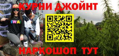 крисы Новодвинск