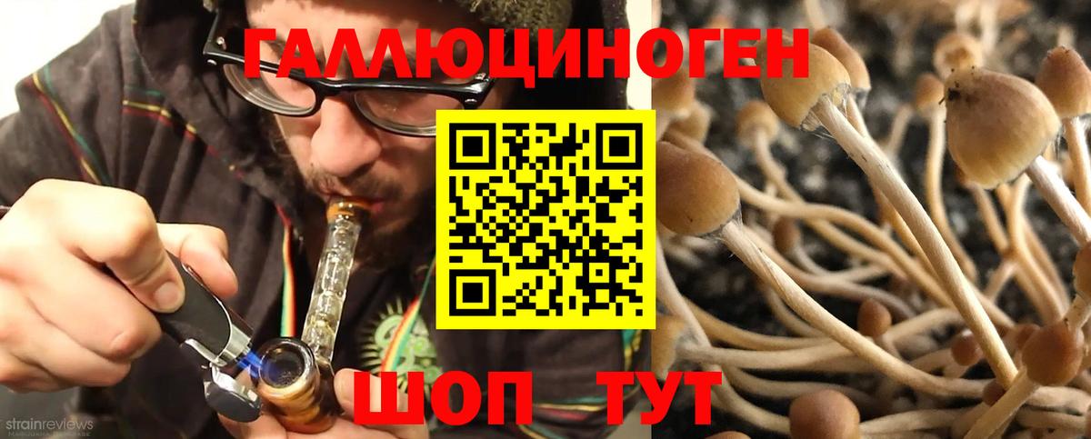 Галлюциногенные грибы ЛСД  Вход с VPN  Тосно 